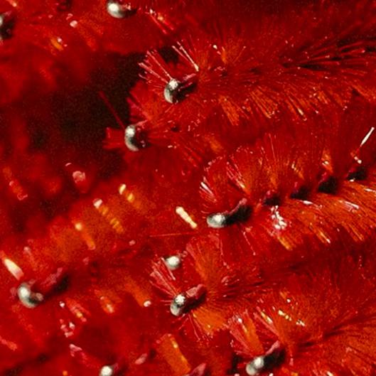 Valentine’s Package 